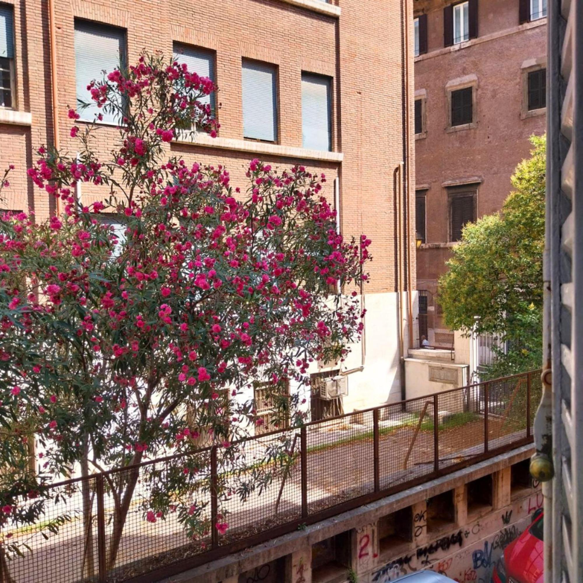 Appartement Sunhouserome
